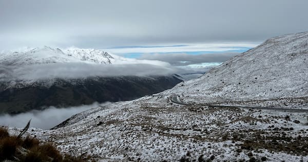 Driver dies after car collides with bus near Cardrona