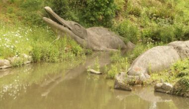Ancient Roman May Have Been the World's First Collector of Sea Monster Fossils