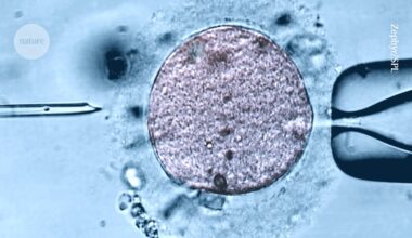 Fertility clinics are offering young mitochondria in controversial fertility technique