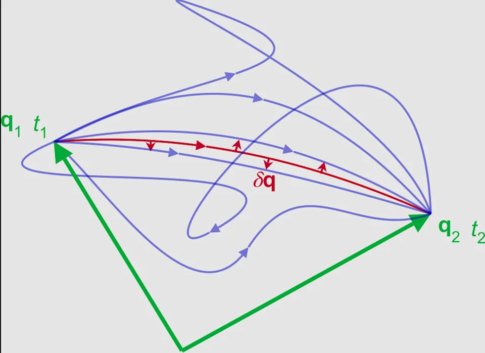 A chart showing the lines of several mathematical functions.