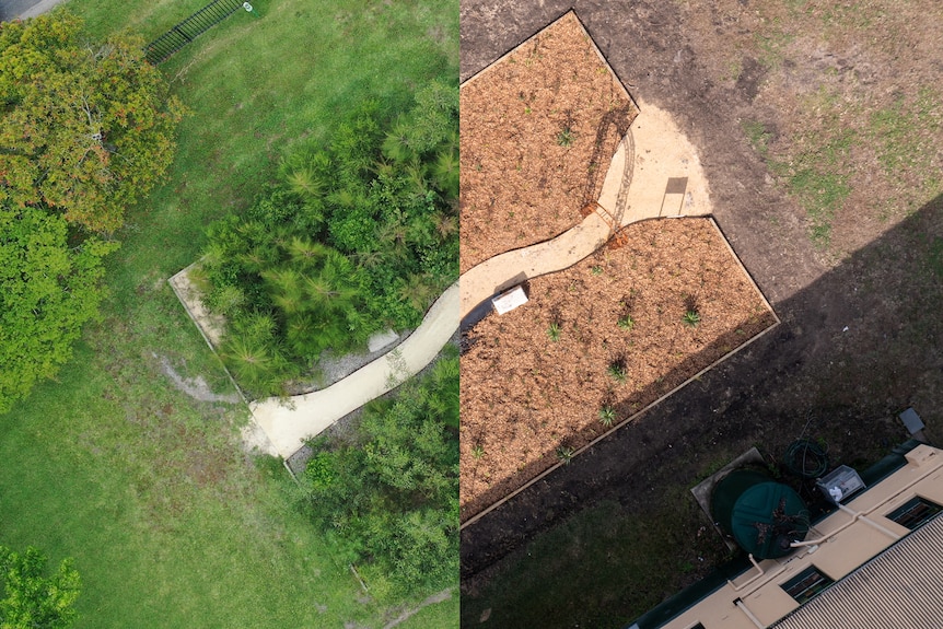 a before and after image of a small forest being planted and fully grown