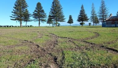 'Hoons' tear up Gisborne park – locals call for cameras