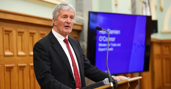'Absolute bulls***': Labour MP blasts coalition over 'evil' voting changes