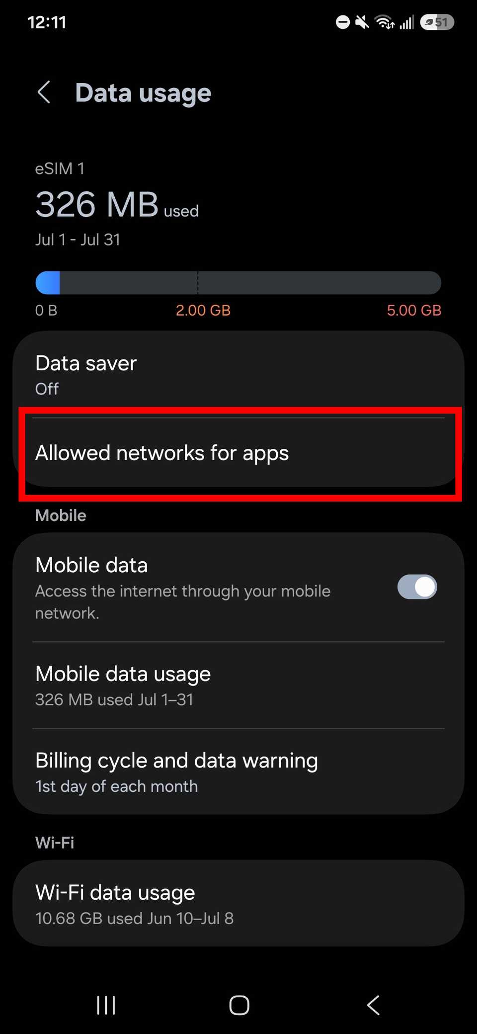 Red rectangle outline highlighting Allowed networks for apps in Data usage