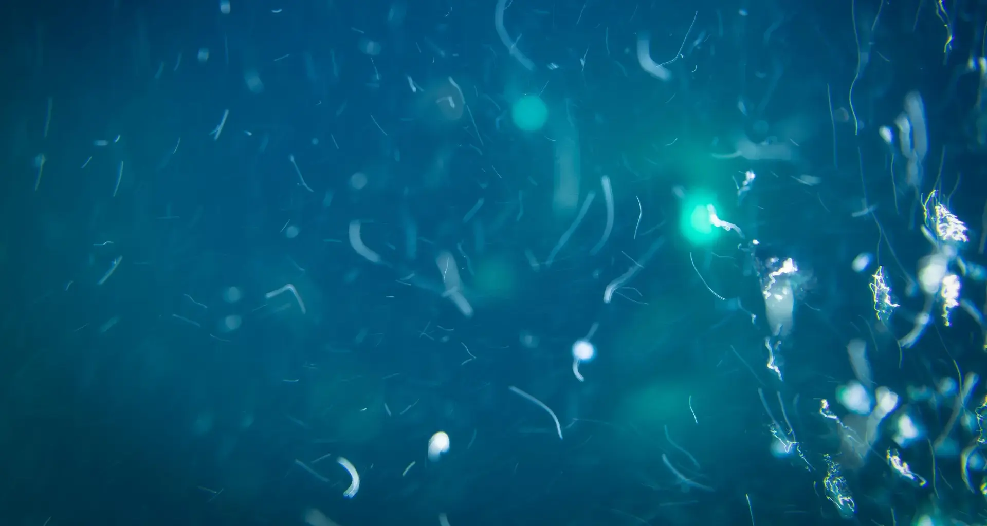Deep-sea life has a secret food source scientists never expected