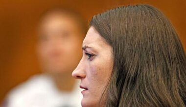 US mum's lawyer says postpartum psychosis made her kill her 3 kids