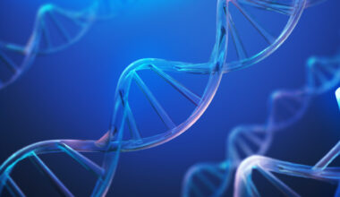 People with a genetic risk for depression struggle most in the years before a breakup