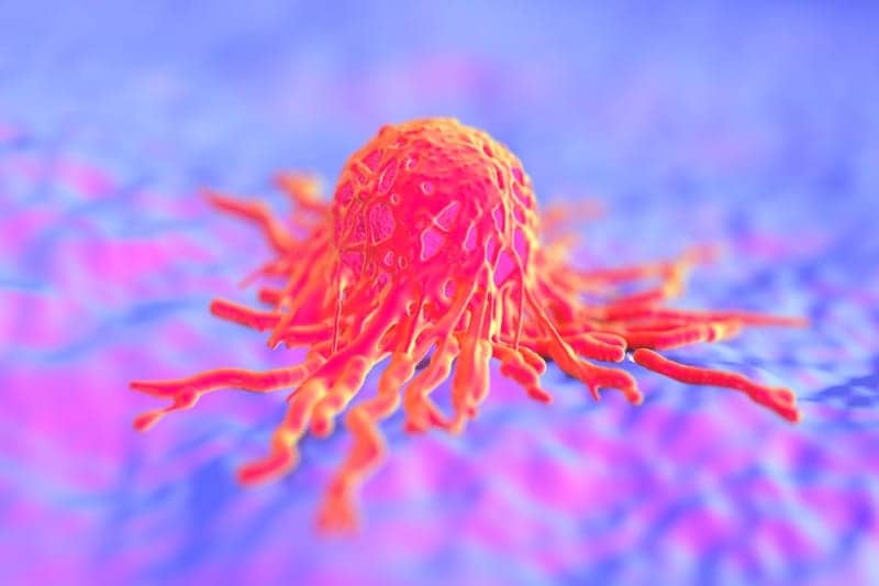 Cancer Vaccine Platform Uses COVID-19 Immune Memory to Fight Tumors