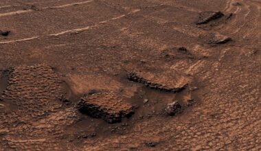 A high-angle view of a reddish, arid Martian landscape featuring polygonal patterned ground and several rocky outcrops.