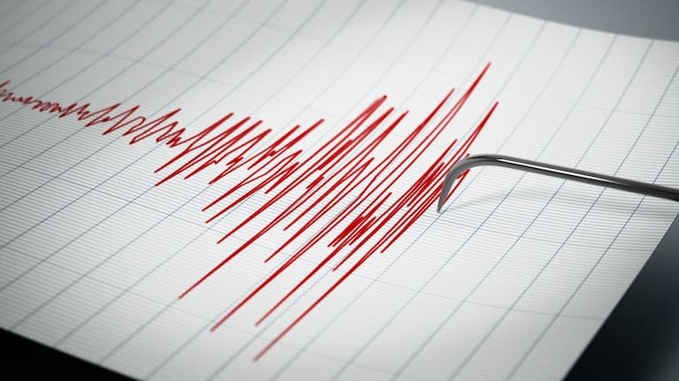 A seismograph shows an earthquake (file picture).