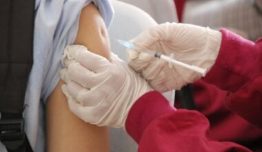 Mexico Reports Sharp Drop in Dengue, COVID-19, Measles Cases