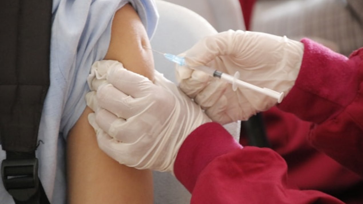 Mexico Reports Sharp Drop in Dengue, COVID-19, Measles Cases