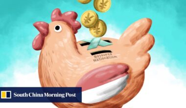 Can China and Indonesia’s strong financial ties withstand ‘resource nationalism’?