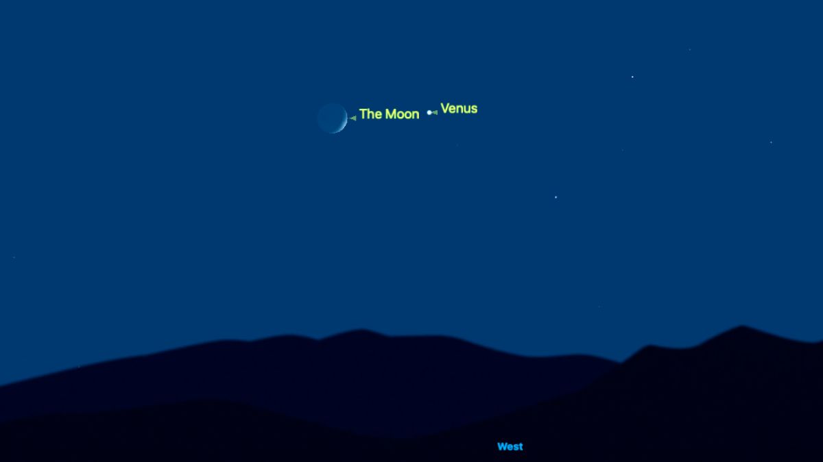 night sky graphic showing Venus shining to the right of the moon.