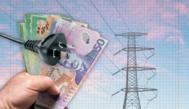 Household electricity costs up 177% since 1999 reforms, nearly twice the rate of inflation
