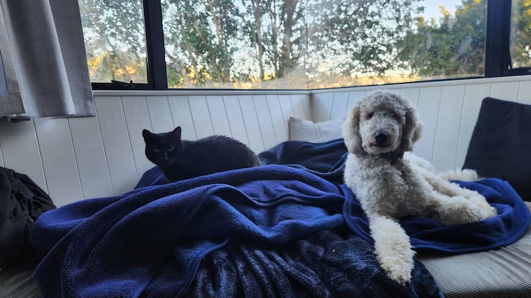 Emma Hildesley's cat Tuna, and dog Goose.