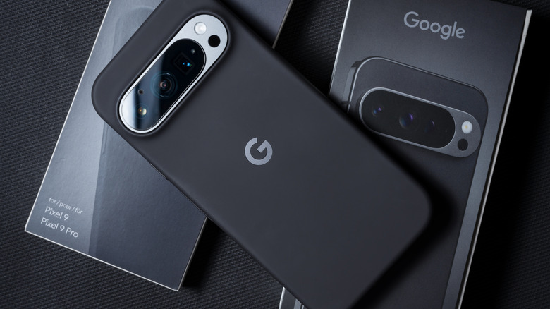 A Google Pixel 9 sitting in a black case sitting on top of the box for said case