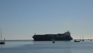 Export conditions toughest in a decade, but some still growing
