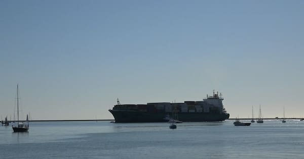 Export conditions toughest in a decade, but some still growing