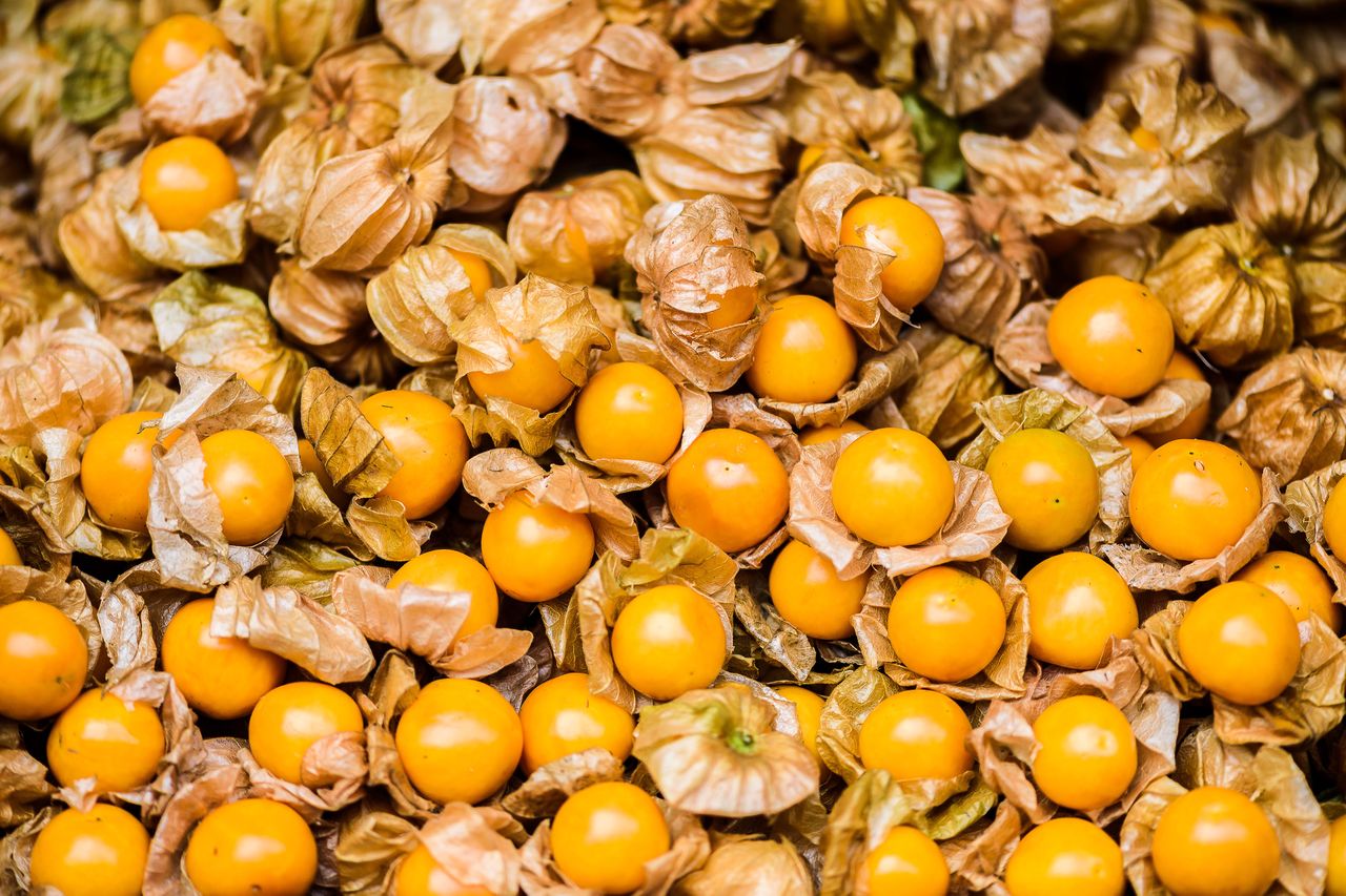 Goldenberries are an excellent source of vitamin C.Credit: nipastock / Getty Images