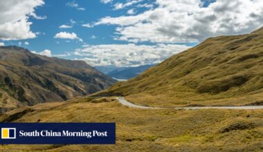 Hongkonger dies in New Zealand car crash, third fatality this year