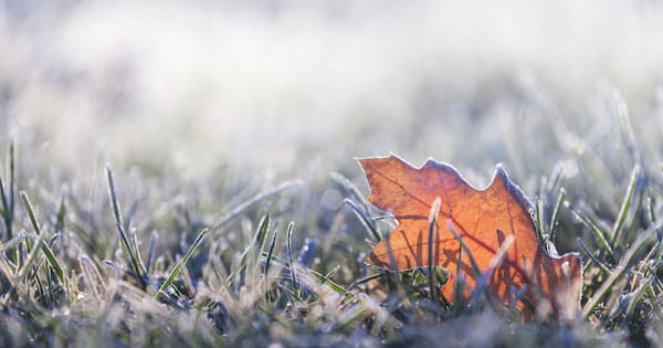 'Severe frost' for some as temperatures drop over Matariki weekend