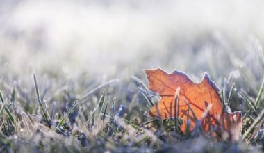 'Very cold' southwesterlies to spread over NZ this weekend