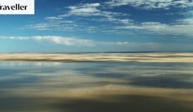 Kati Thanda-Lake Eyre flooding: Rare outback event creates wildlife spectacle, covers desert in greenery