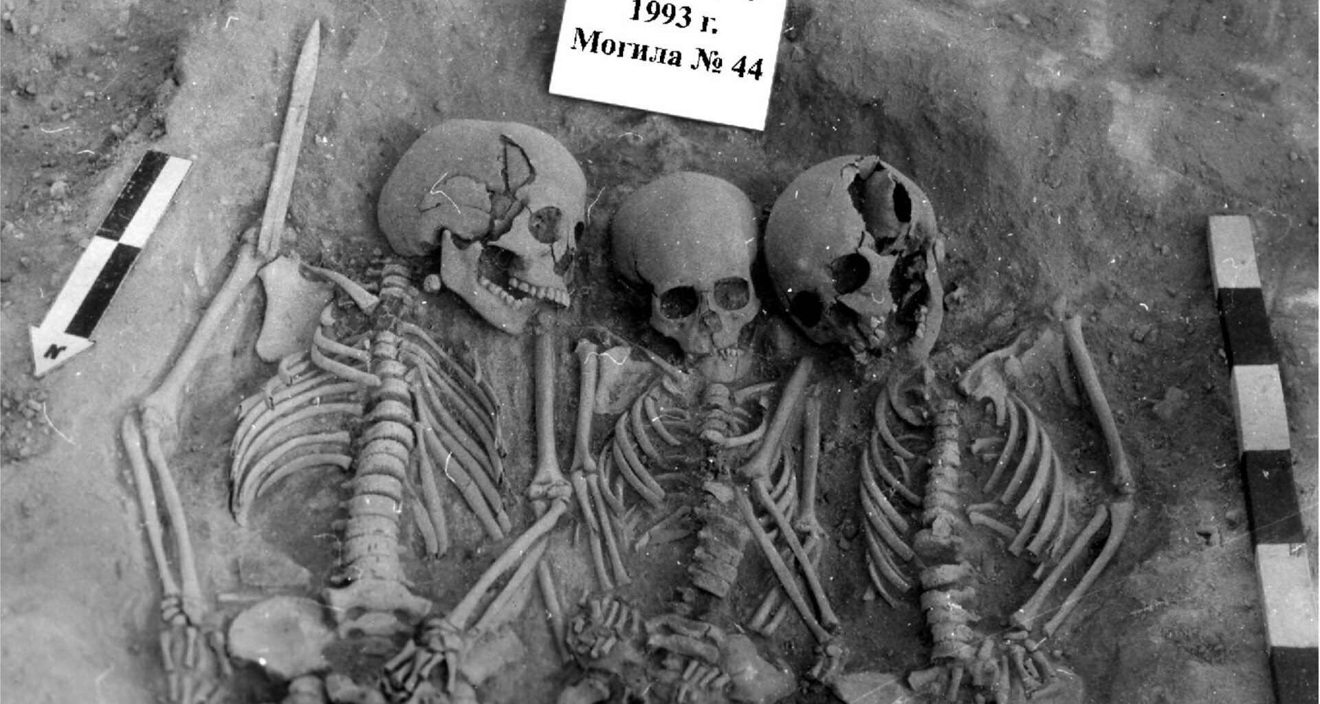 Prehistoric Plague Could Have Caused a Population Collapse in Stone Age Europe