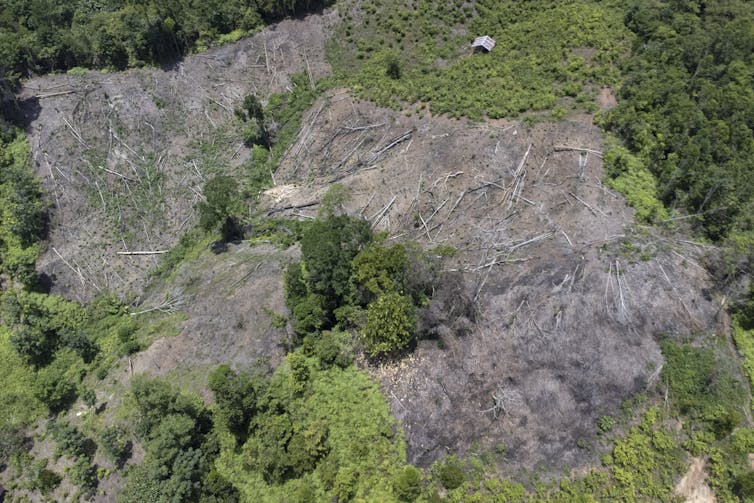 A deforested hillside