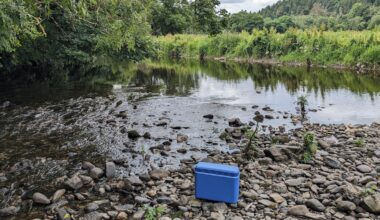 Fishing for DNA – how a cup of river water can reveal secrets about human health, pollution and biodiversity