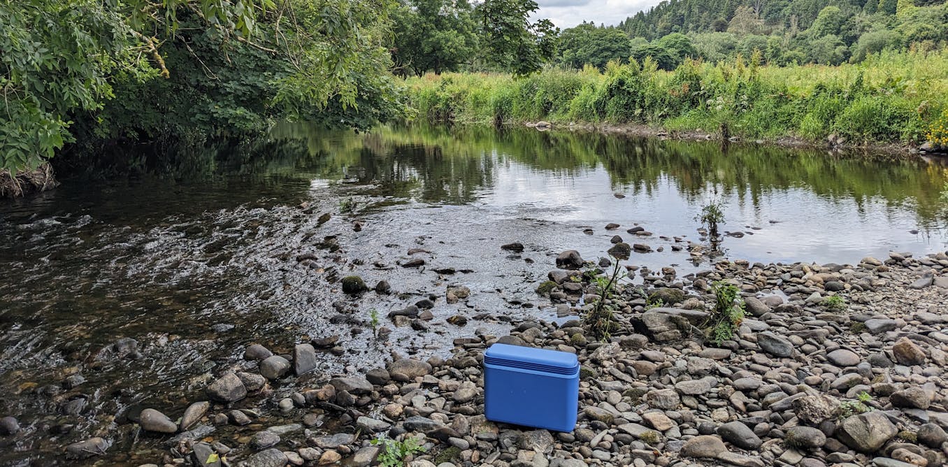 Fishing for DNA – how a cup of river water can reveal secrets about human health, pollution and biodiversity