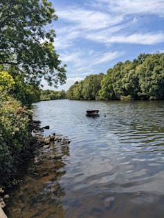 River floating between a line of trees, a boat floating placidly in the middle of the water under blue skies and white clouds