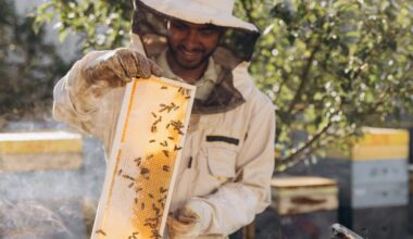 Beekeeping as a hobby – why it’s a great choice for young men struggling with mental health or loneliness