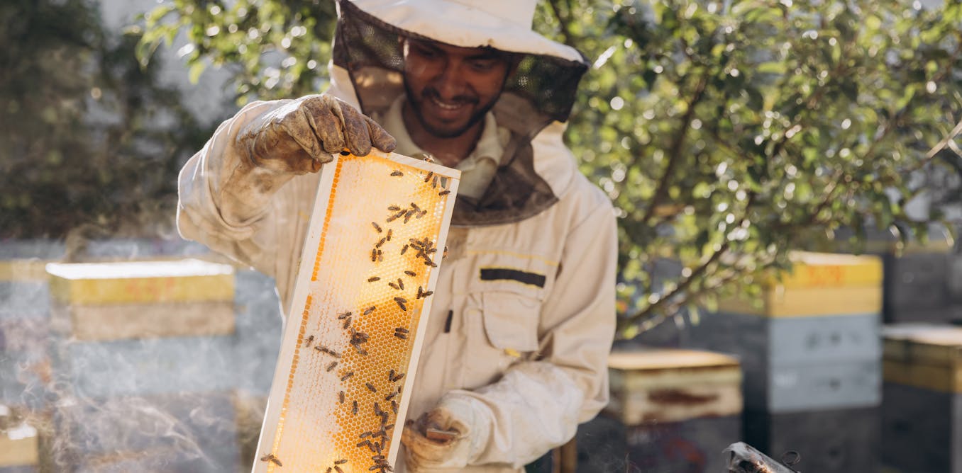 Beekeeping as a hobby – why it’s a great choice for young men struggling with mental health or loneliness