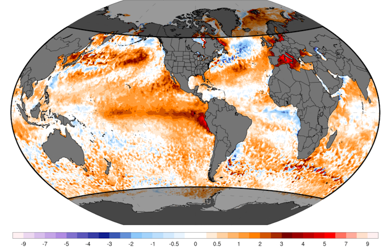 map of globe showing heat anomalies in oceans.