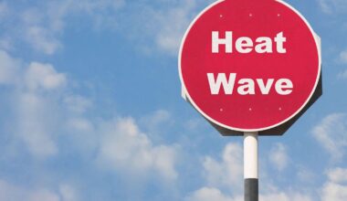 Heatwaves are dangerous but they’re also a useful warning of what needs to change