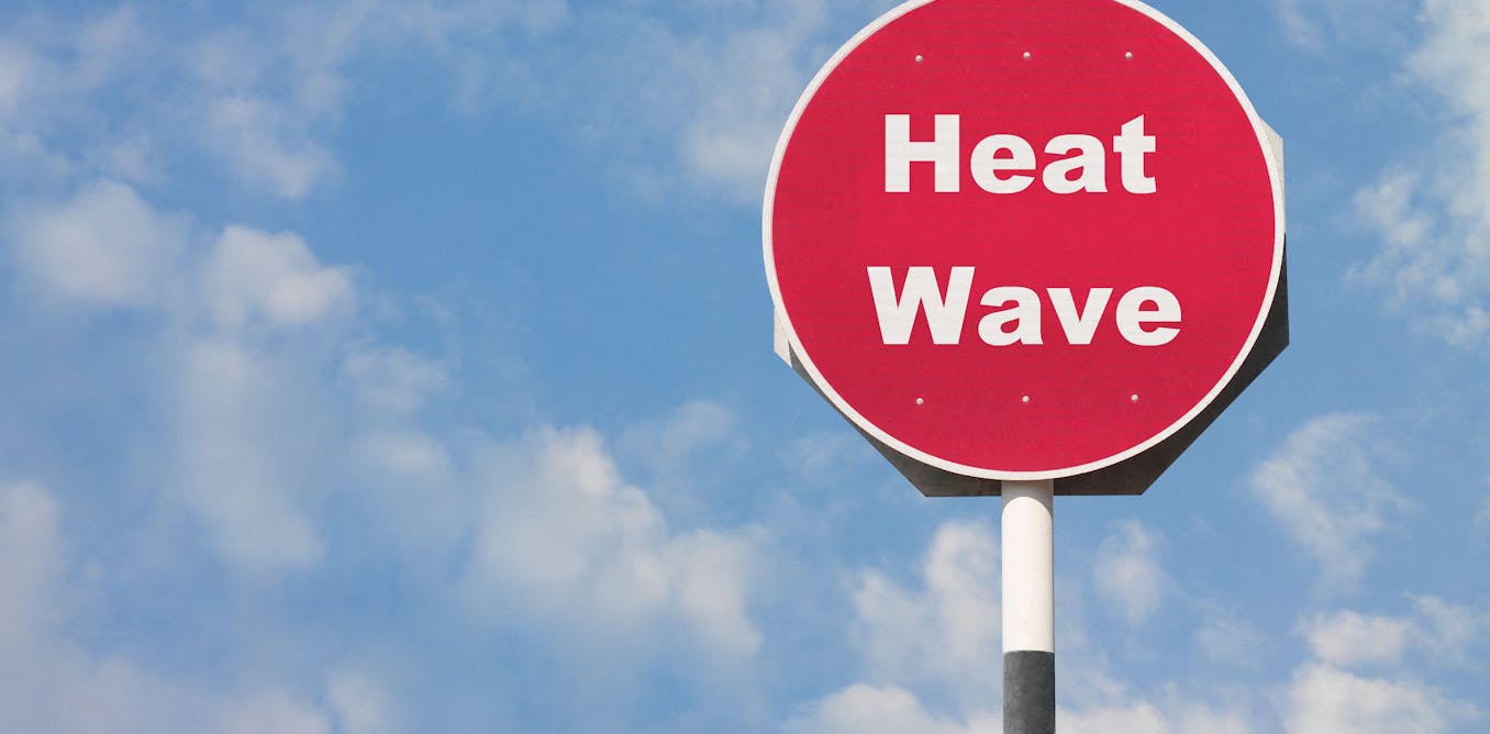 Heatwaves are dangerous but they’re also a useful warning of what needs to change