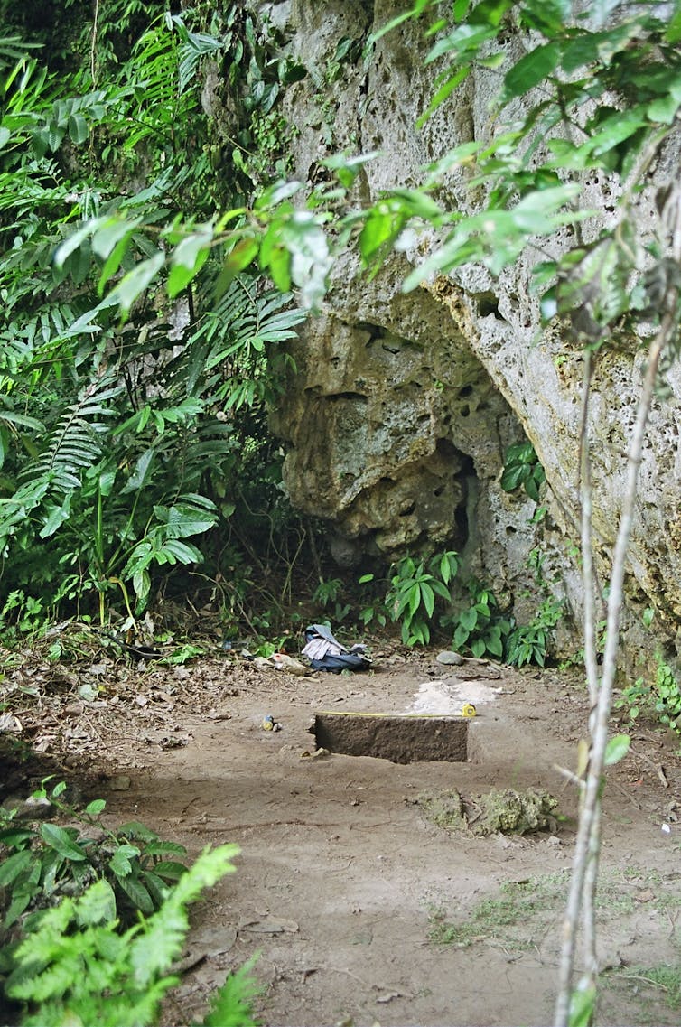 A rocky cave entrance surrounded by lush green vegetation.