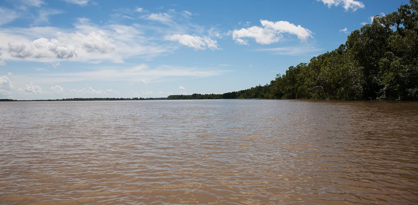 Why safe water is still lacking in the Marajó Archipelago, one of the world’s most water-abundant regions