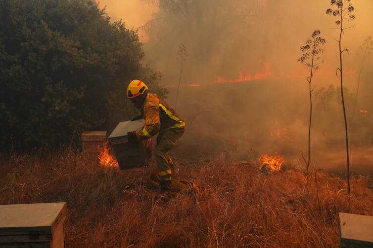 a firefighter carries a box away from a fire