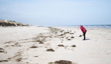 Media coverage of environmental disasters doesn’t come with a content warning. It’s time for change