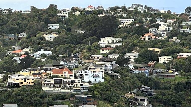 File image of houses from above (file image).
