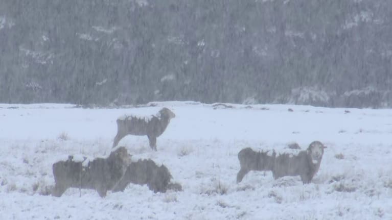 File picture of snow near Lake Tekapo.