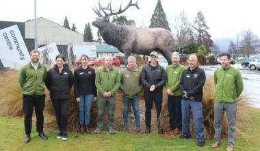 Wapiti deer declared herd of special interest