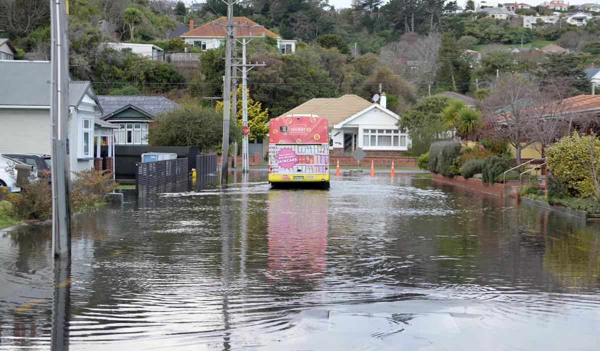 King tide swamps Dunedin streets