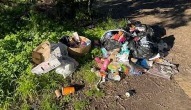 Popular Gisborne surf beach blighted by Illegal rubbish dumping