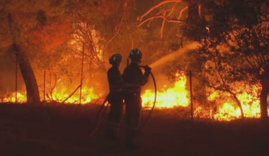 French president visits fire zone, vows: 'We will win this battle together'