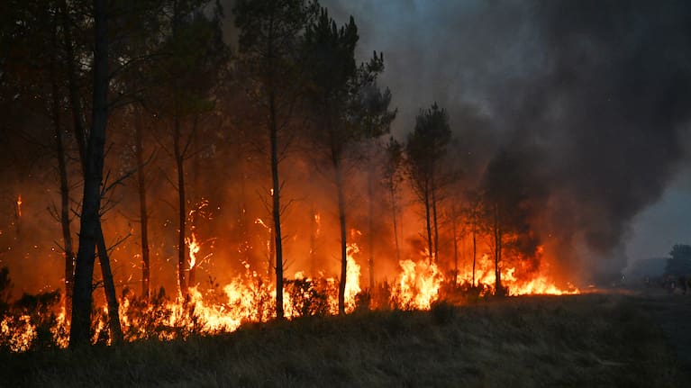 Trees bur as a wildfire rages near Marcheprime, outside, Bordeaux, France