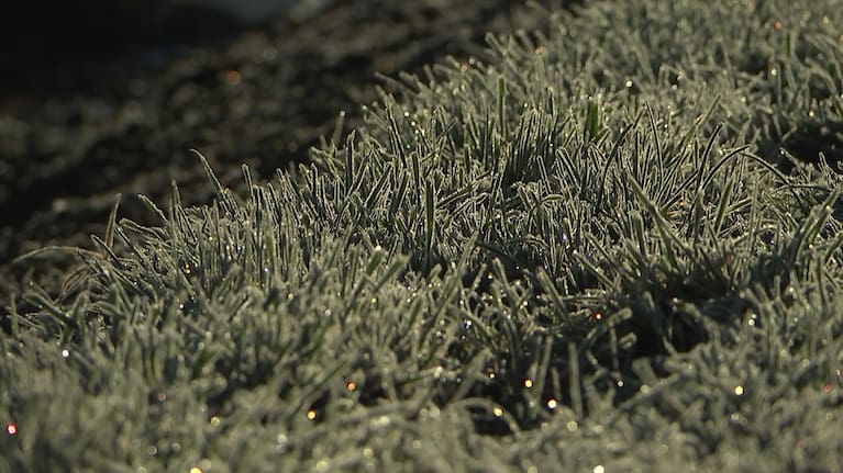 Frost pictured in Canterbury on Sunday.